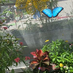 Meet your Posher, Nevaeh